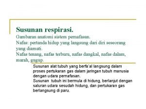 Fungsi selaput lendir hidung adalah untuk