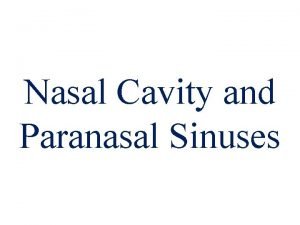Nasal cavity communications