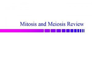 Mitosis and Meiosis Review True or False Mitosis