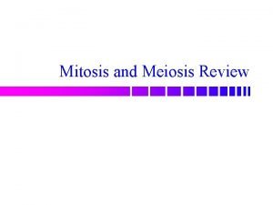 Bacteria reproduce by meiosis true or false