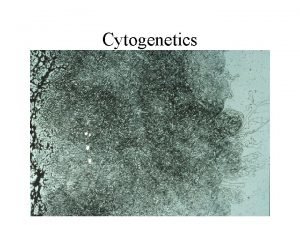 Cytogenetics Chromosomal Disorders 50 of 1 st trimester