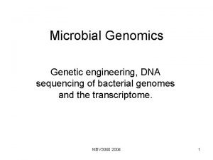 Sequence dna