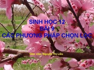 SINH HC 12 BI 9 CC PHNG PHP