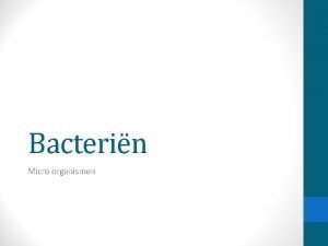 Bacterin Micro organismen Systematiek en ordening van het
