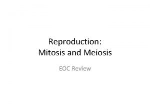 Reproduction Mitosis and Meiosis EOC Review Parent Daughter