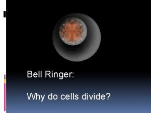 Bell Ringer Why do cells divide Cell Division