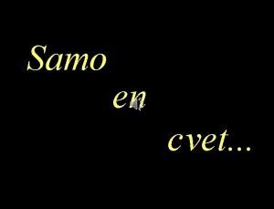 Samo en cvet