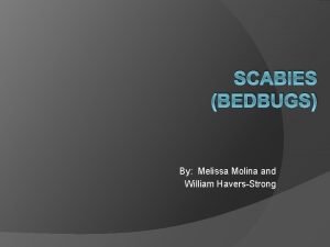 SCABIES BEDBUGS By Melissa Molina and William HaversStrong