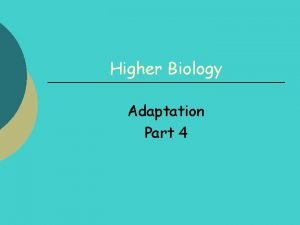 Hydrophytes plants