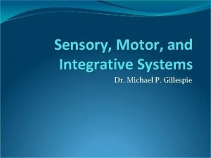 Sensory Motor and Integrative Systems Dr Michael P