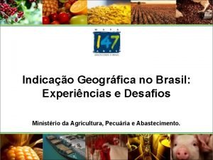Indicao Geogrfica no Brasil Experincias e Desafios Ministrio