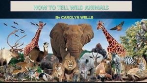 Exercise of how to tell wild animals