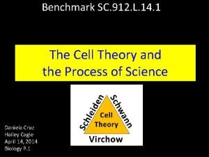 Benchmark SC 912 L 14 1 The Cell