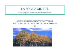 La foglia muriel