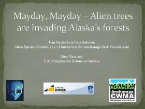 Mayday