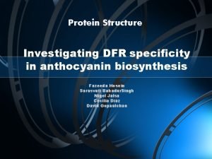 Protein Structure Investigating DFR specificity in anthocyanin biosynthesis