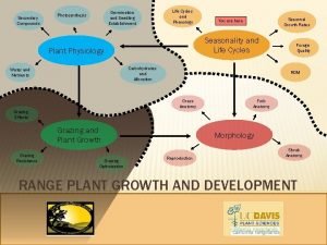Secondary Compounds Germination and Seedling Establishment Photosynthesis Life