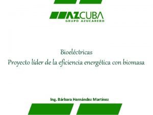 Bioelctricas Proyecto lder de la eficiencia energtica con