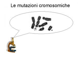 Le mutazioni cromosomiche Classificazione delle mutazioni cromosomiche La