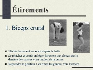 tirements 1 Biceps crural Flchir lentement en avant