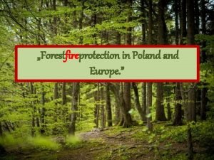 Forestfireprotection in Poland Europe Factors influencing the state