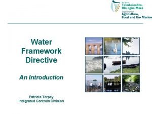 Water framework directive
