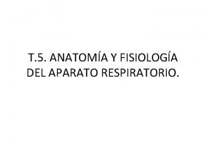 T 5 ANATOMA Y FISIOLOGA DEL APARATO RESPIRATORIO