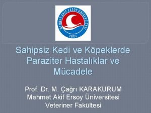 Sahipsiz Kedi ve Kpeklerde Paraziter Hastalklar ve Mcadele