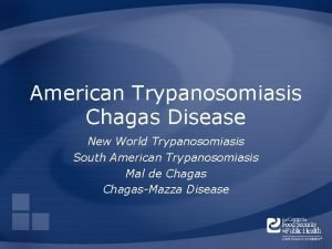 American Trypanosomiasis Chagas Disease New World Trypanosomiasis South