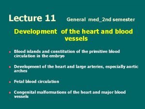 Lecture 11 General med2 nd semester Development of