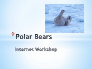 Polar bear adaptations for kids