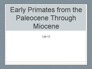 Early Primates from the Paleocene Through Miocene Lab