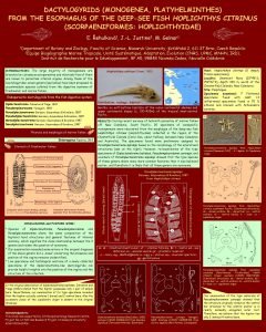 DACTYLOGYRIDS MONOGENEA PLATYHELMINTHES FROM THE ESOPHAGUS OF THE