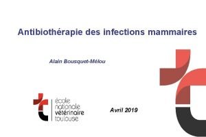 Antibiothrapie des infections mammaires Alain BousquetMlou Avril 2019