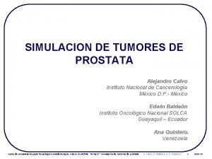 SIMULACION DE TUMORES DE PROSTATA Alejandro Calvo Instituto