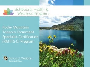 Tobacco treatment specialist certification