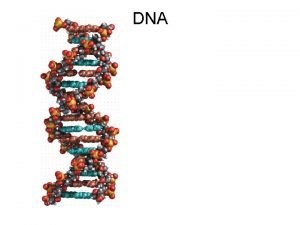 DNA James Watson L and Francis Crick R