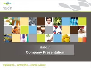 Haldin Company Presentation Ingredients partnership shared success Haldin