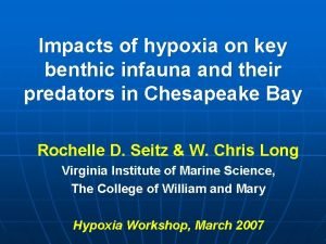 Impacts of hypoxia on key benthic infauna and