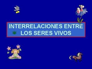 Interrelaciones entre los seres vivos