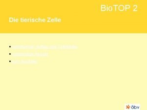 Bio TOP 2 Die tierische Zelle schrittweiser Aufbau