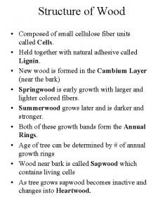 Wood is composed of