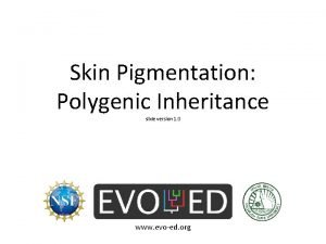 Skin Pigmentation Polygenic Inheritance slide version 1 0