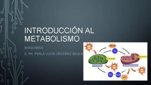 INTRODUCCIN AL METABOLISMO BIOQUMICA D PH PERLA LUCA