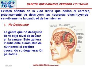 HABITOS QUE DAAN EL CEREBRO Y TU SALUD