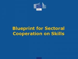 Blueprint for sectoral cooperation on skills