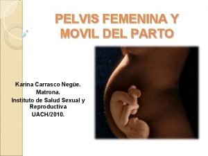 PELVIS FEMENINA Y MOVIL DEL PARTO Karina Carrasco