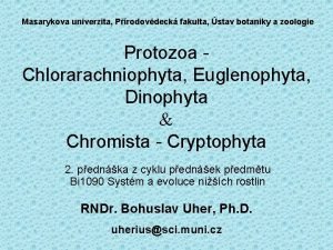 Fykoerythrin