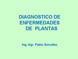 DIAGNOSTICO DE ENFERMEDADES DE PLANTAS Ing Agr Pablo