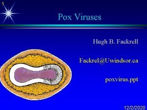 1 Pox Viruses Hugh B Fackrell FackrelUwindsor ca